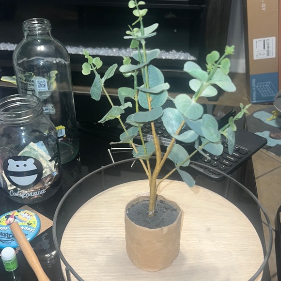 Brand new mini tree for decoration aesthetic - Picture 1 of 1